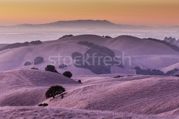 Sunset of California Golden Hills Stock photo © yhelfman