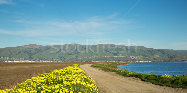 San Francisco South and East Bay Landscape, Northern California Stock photo © yhelfman