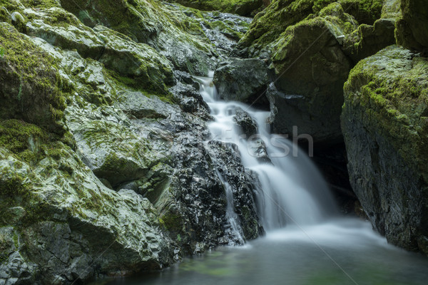 Running water in Cataract Falls Stock photo © yhelfman