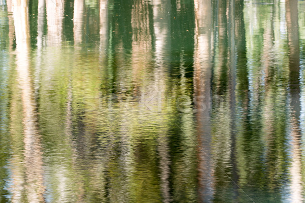 Agua reflexiones lago parque nacional de yosemite California EUA Foto stock © yhelfman