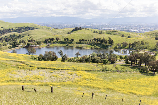 Sandy Wool Lake and Santa Clara Valley at Springtime. Stock photo © yhelfman