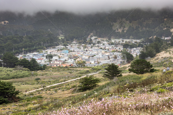 Vallemar neighborhood of Pacifica in a foggy summer day. Stock photo © yhelfman