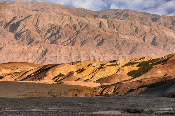 Desert Sunrise Stock photo © yhelfman