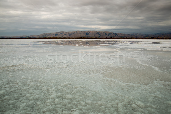 Mission Peak, Mount Allison and Monument Peak from a dried salt pond. Stock photo © yhelfman