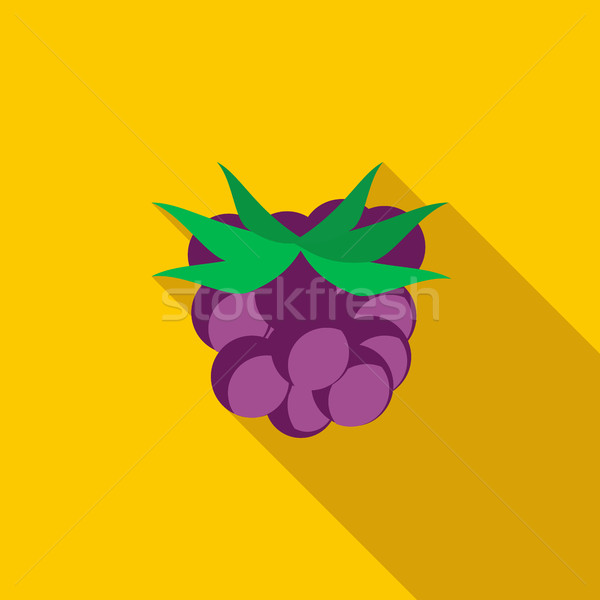 BlackBerry icon stijl lang schaduw bos Stockfoto © ylivdesign