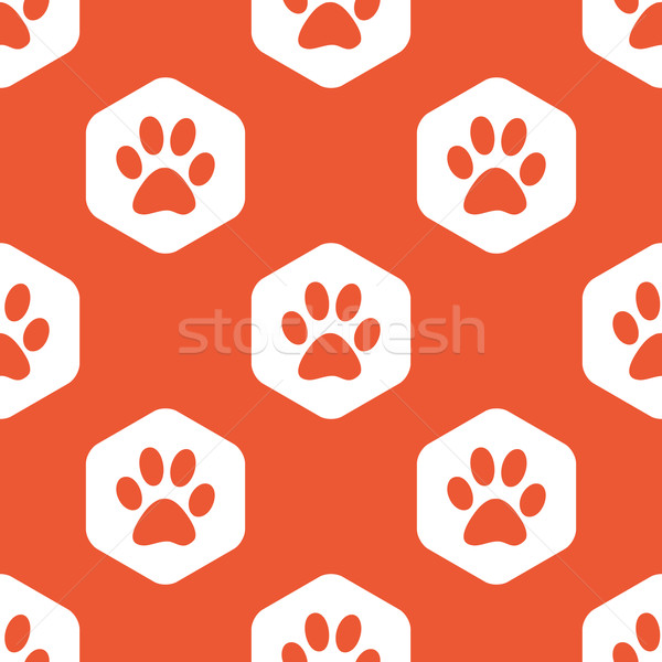 Orange Sechseck paw Muster Bild drucken Stock foto © ylivdesign