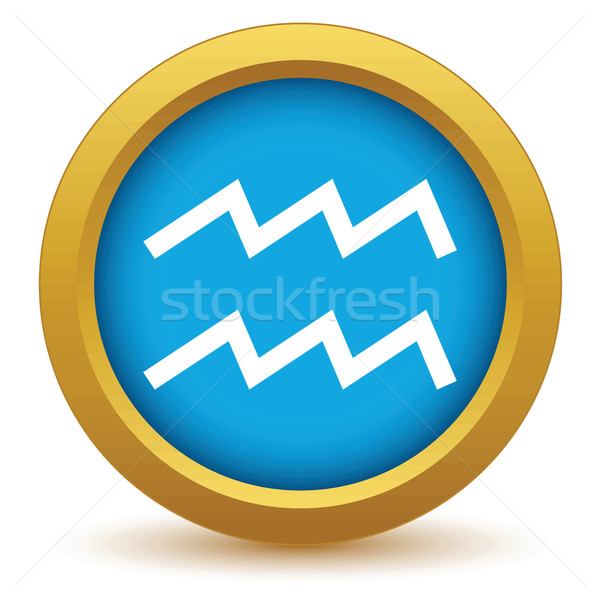 Gold Aquarius icon Stock photo © ylivdesign