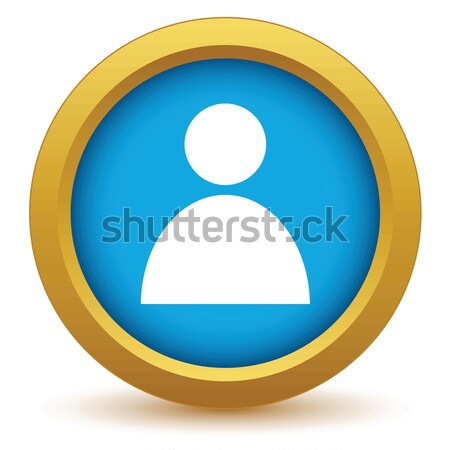 Gold user profile icon Stock photo © ylivdesign