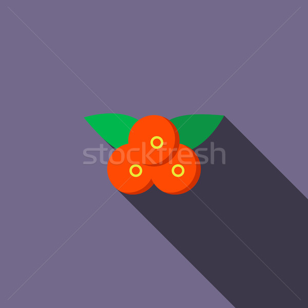 Cranberry icon, flat style Stock photo © ylivdesign