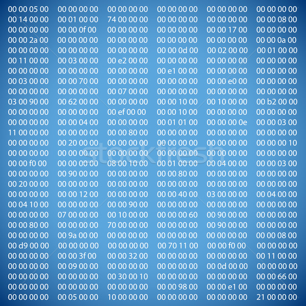 Blue binary computer code Stock photo © ylivdesign