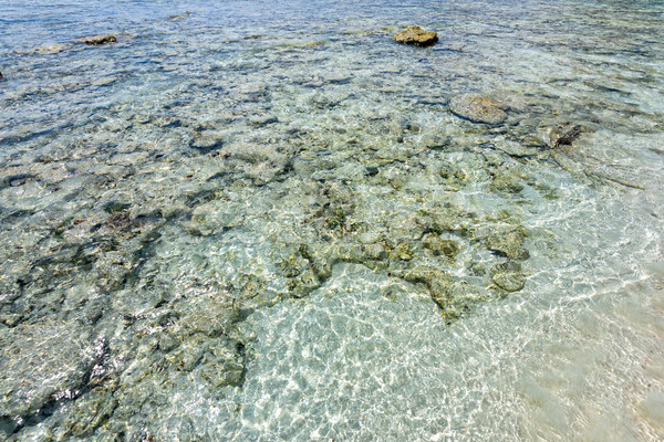Ufer Korallen Schnorcheln bewundern Schönheit Meer Stock foto © Yongkiet