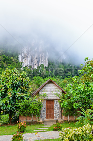 Front home in the morning Stock photo © Yongkiet