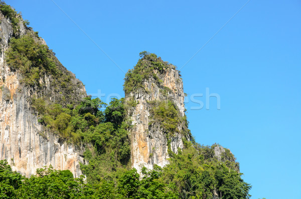 High cliffs Stock photo © Yongkiet