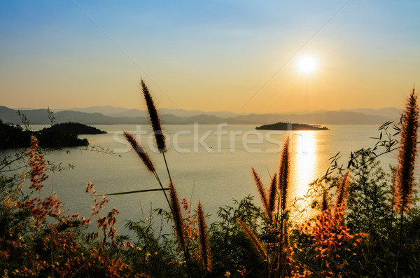 Magasról fotózva kilátás gyönyörű tó naplemente pont Stock fotó © Yongkiet