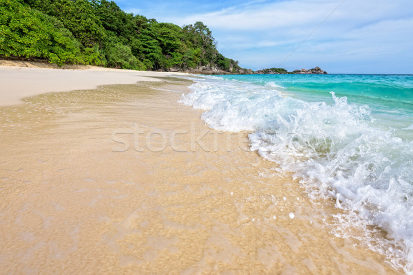 Beach and waves at Similan National Park in Thailand Stock photo © Yongkiet