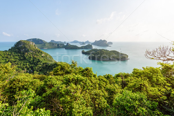 Ansicht thong schönen Natur Landschaft Stock foto © Yongkiet