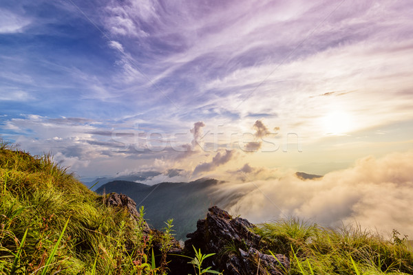 Phu Chi Fa Forest Park at sunset, Thailand Stock photo © Yongkiet