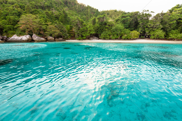Lua de mel praia ilha Tailândia belo verde Foto stock © Yongkiet