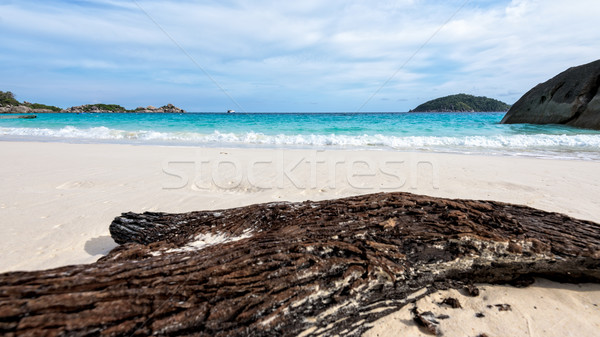 Eski dalgaların karaya attığı odun plaj ada Tayland mavi Stok fotoğraf © Yongkiet