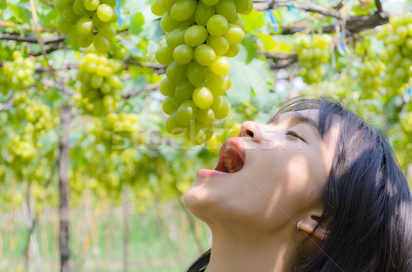 Femmes manger raisins verts vignoble fraîches arbre Photo stock © Yongkiet