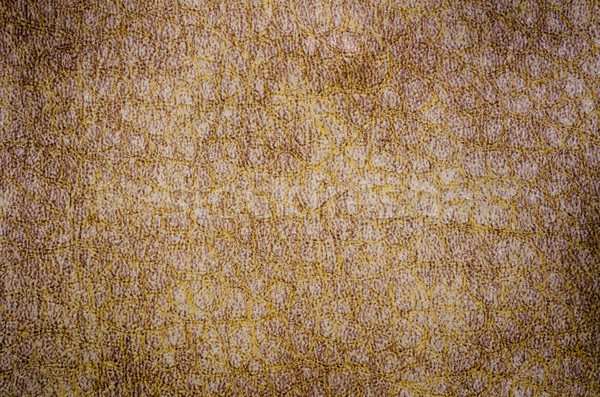 старые кожа аннотация коричневый текстуры природы Сток-фото © Yongkiet