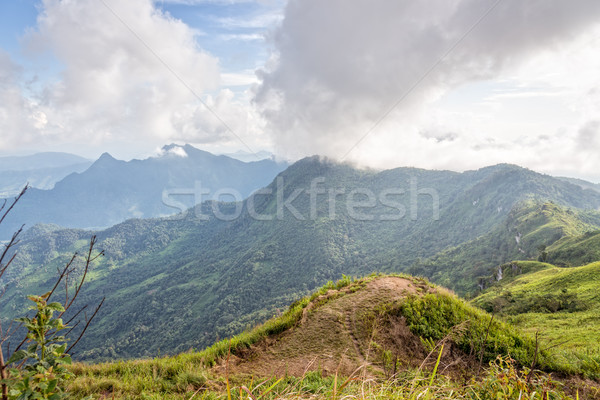 Landscape on Phu Chi Fa Forest Park Stock photo © Yongkiet