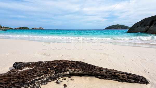 Oude drijfhout strand eiland Thailand Blauw Stockfoto © Yongkiet