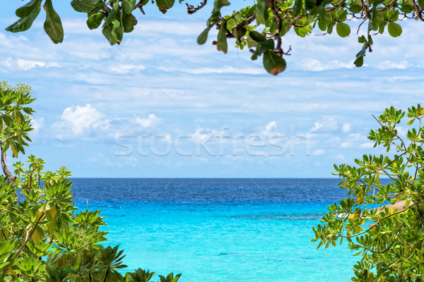 Stock photo: Beautiful sea have leaves is a frame in Thailand