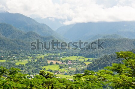 Stock photo: Landscape high angle view of the city in the valley.