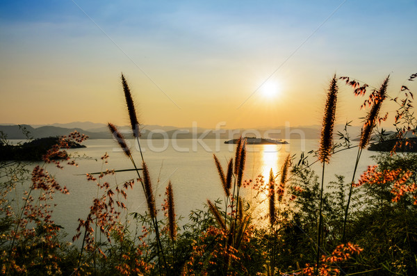 High angle view beautiful lake at sunset Stock photo © Yongkiet