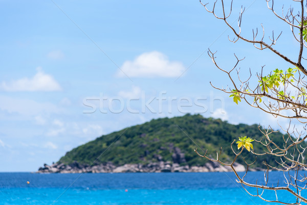 Azul mar Tailandia hermosa naturales paisaje Foto stock © Yongkiet