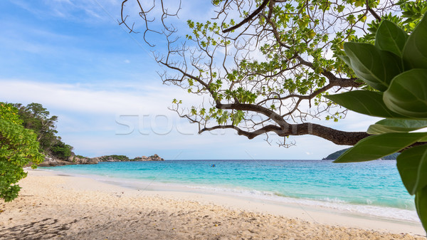 Zee strand eiland Thailand mooie landschap Stockfoto © Yongkiet