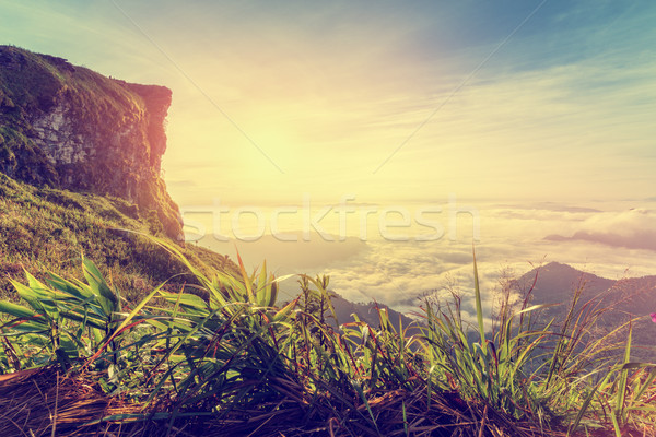ヴィンテージ スタイル 日の出 ピーク 山 美しい ストックフォト © Yongkiet