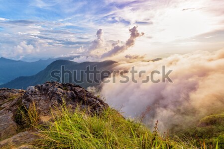 Phu Chi Fa Forest Park at sunset, Thailand Stock photo © Yongkiet