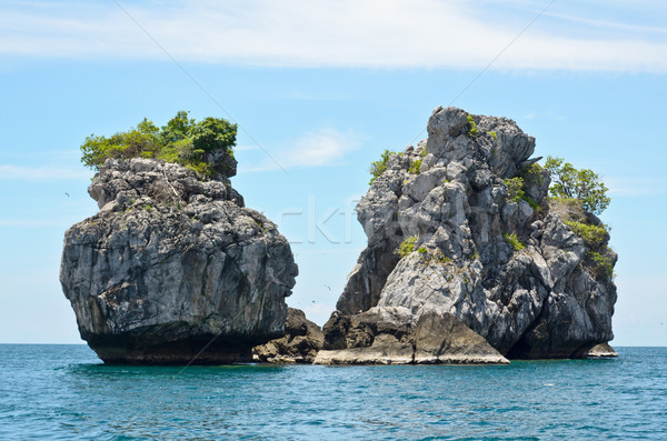 Small Island in the sea for diving Stock photo © Yongkiet