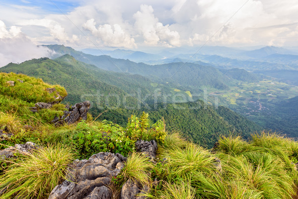 Beautiful landscape at Phu Chi Fa Forest Park Stock photo © Yongkiet