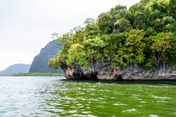 Islands and green sea  Stock photo © Yongkiet