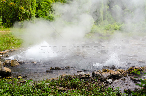 Spring of naturally hot water Stock photo © Yongkiet