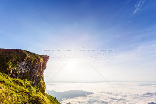 Morning in Phu Chi Fa Forest Park, Thailand Stock photo © Yongkiet