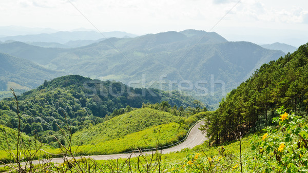 Landscape high mountain range at viewpoint Doi Mae U Ko Stock photo © Yongkiet