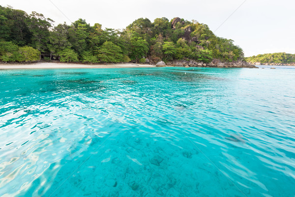 Honeymoon Bay and beach in Similan island, Thailand Stock photo © Yongkiet