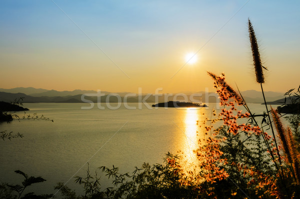 High angle view beautiful lake at sunset Stock photo © Yongkiet