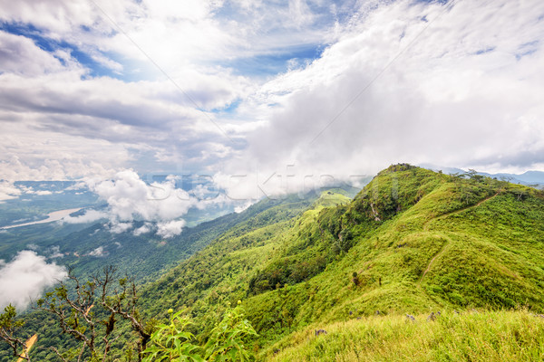 Landscape at Doi Pha Tang view point Stock photo © Yongkiet