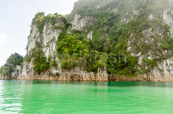 Beautiful island and green lake ( Guilin of Thailand ) Stock photo © Yongkiet