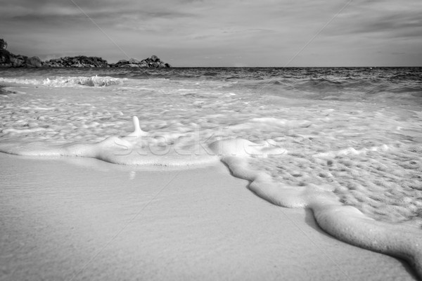 Blanc noir plage île Thaïlande style belle Photo stock © Yongkiet
