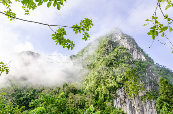 Stock foto: üppigen · groß · Berge · bedeckt · Nebel · Kalkstein