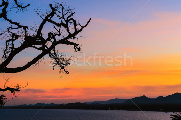 Sunset over the sea on mountain Stock photo © Yongkiet