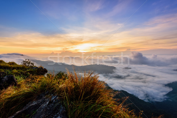 Sunrise on Phu Chi Fa Forest Park, Thailand Stock photo © Yongkiet
