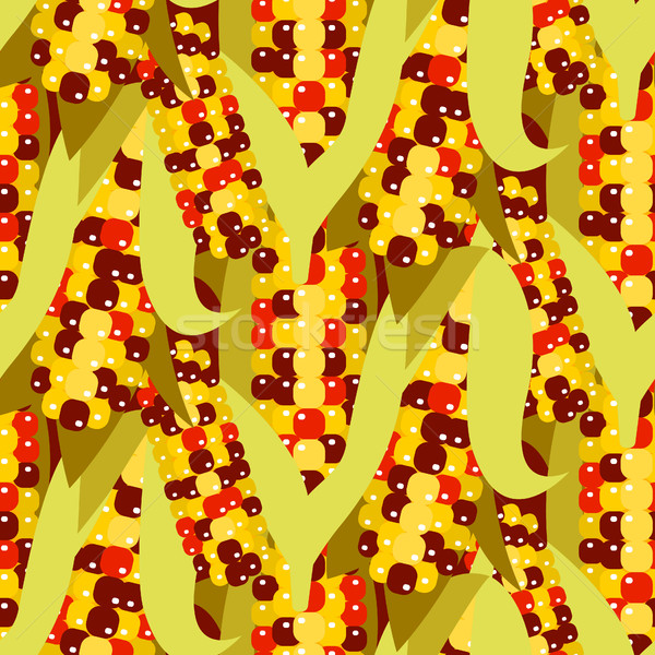 Flint corn seamless pattern vector illustration. Maize ear or cob. Stock photo © yopixart