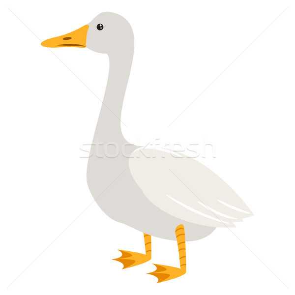 Cartoon Goose Images – Browse 24,941 Stock Photos, Vectors, and